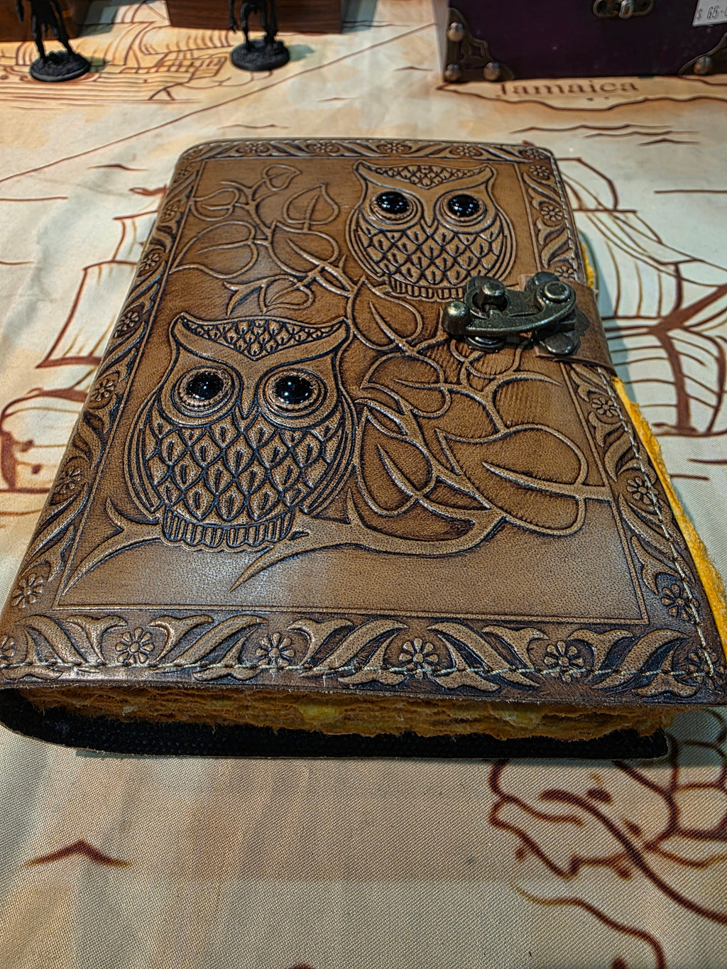 Journal: Eyes of the Owl