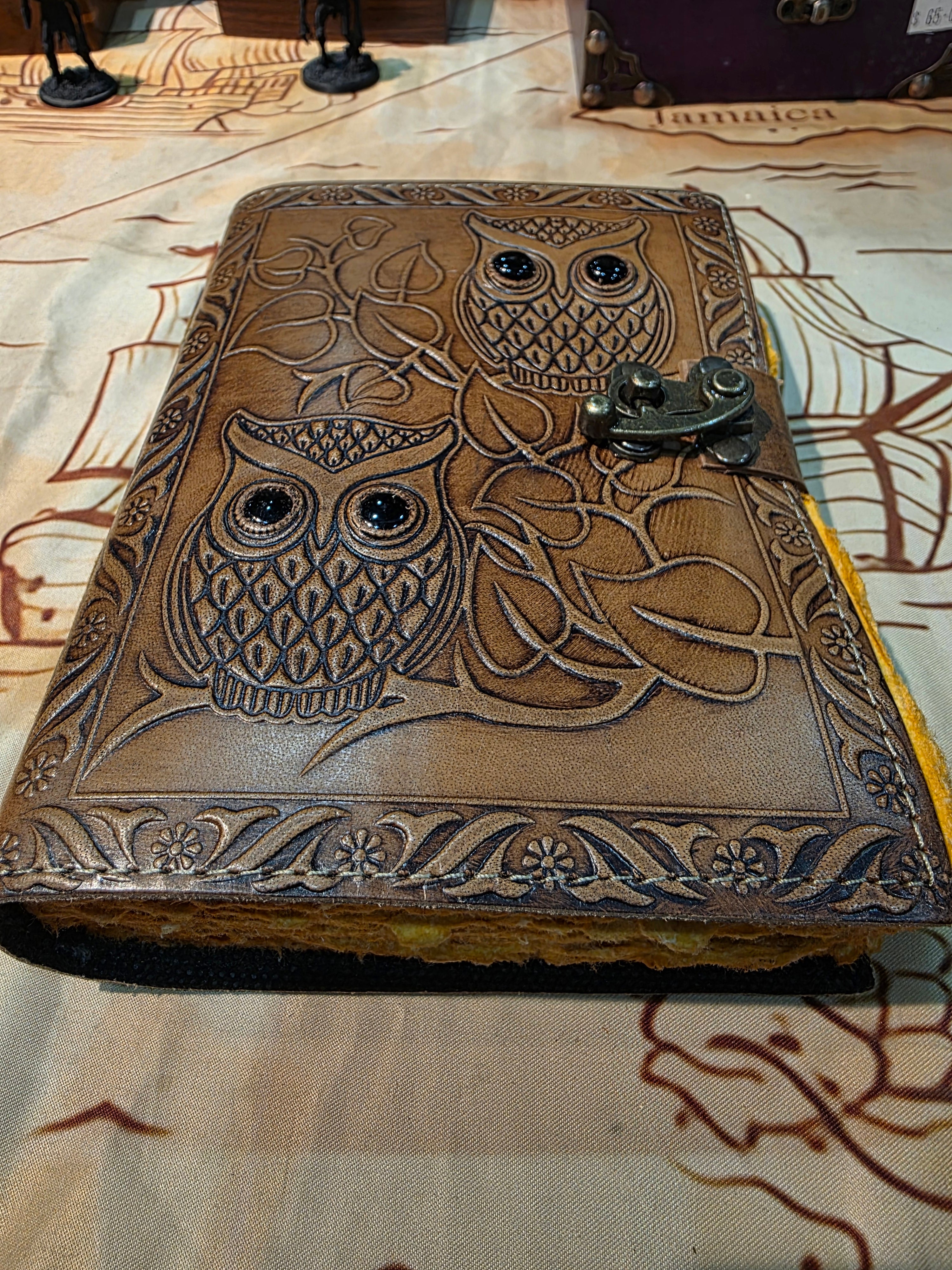 Journal: Eyes of the Owl