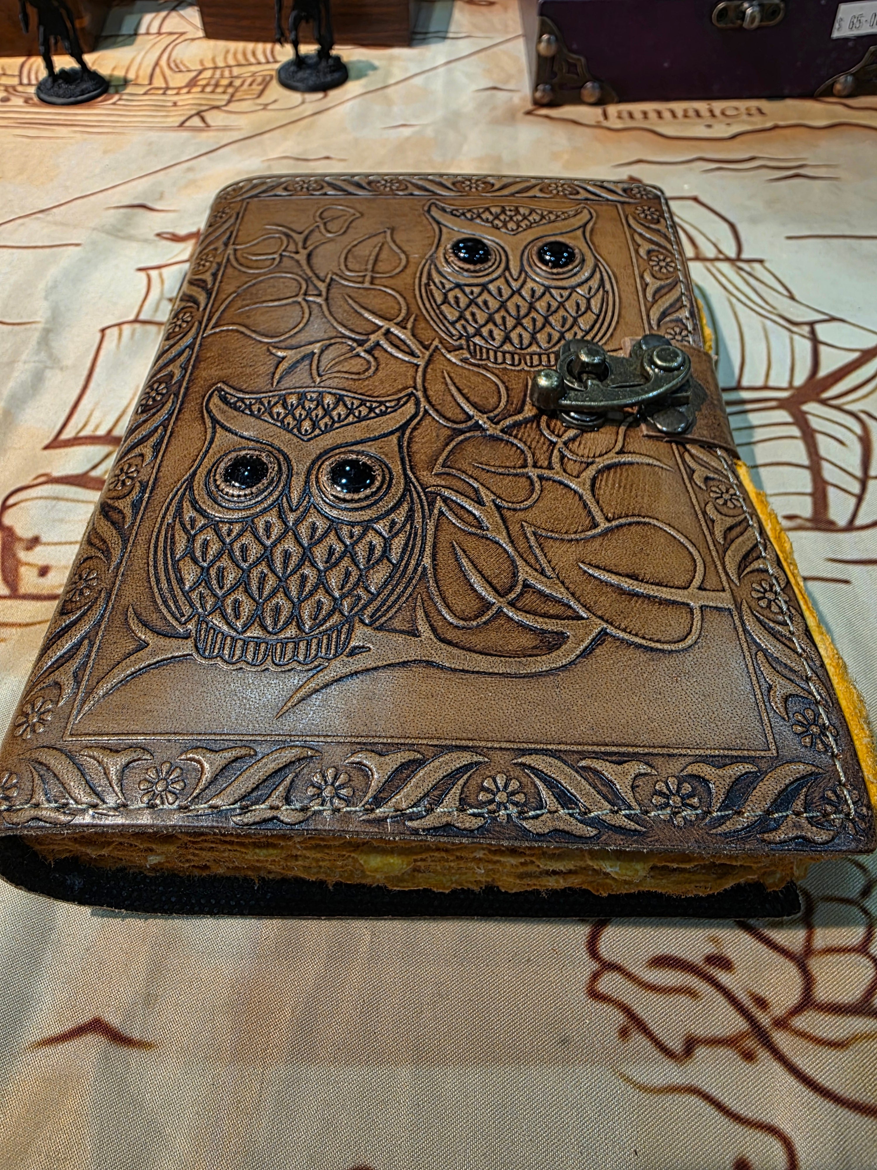 Journal: Eyes of the Owl