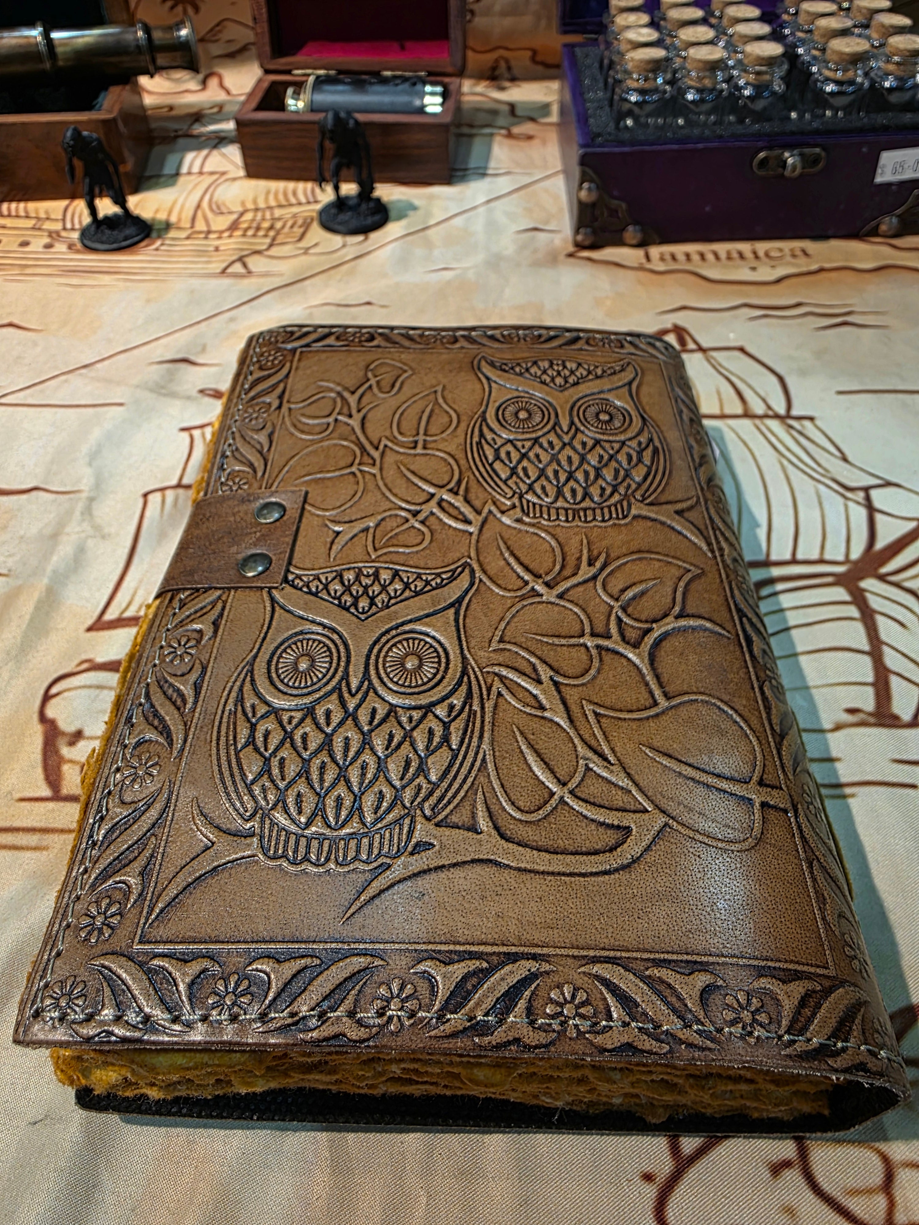Journal: Eyes of the Owl